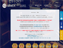 Tablet Screenshot of bmex.biz